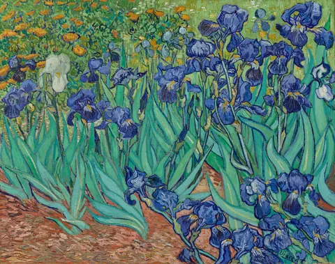 Vincent van Gogh, Irises
