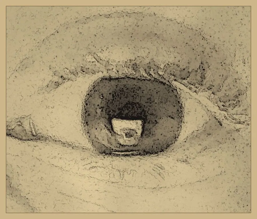 A sepia-toned altered drawing of a single human eye, with a faint figure reflected within.